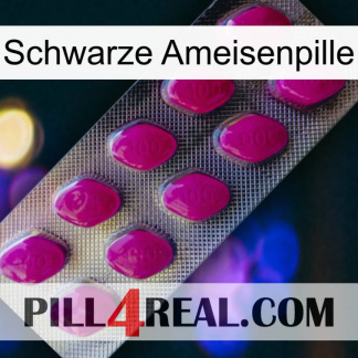 Black Ant Pill 09
